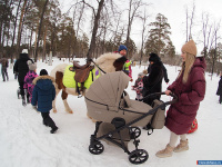 � ������ ������ ����������� ������� ��� �������