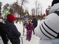 � ������ ������ ����������� ������� ��� �������