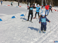 ����� ������������� � ����� "����� ������"