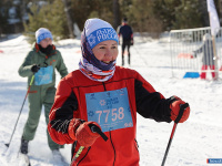 ����� ������������� � ����� "����� ������"