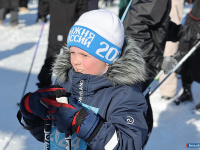 ����� ������������� � ����� "����� ������"