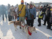 ������ � � �������� ����� ������������ ������� ���������