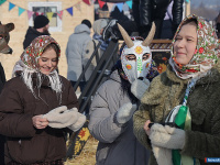 ������ � � �������� ����� ������������ ������� ���������