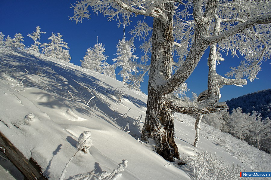 �������� ������ ����� ��������� � �����. � ������ ���� �� ������ � ������ ����� ����������� �� ����������