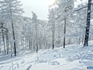 ������� � ������ ����������� �������� �������