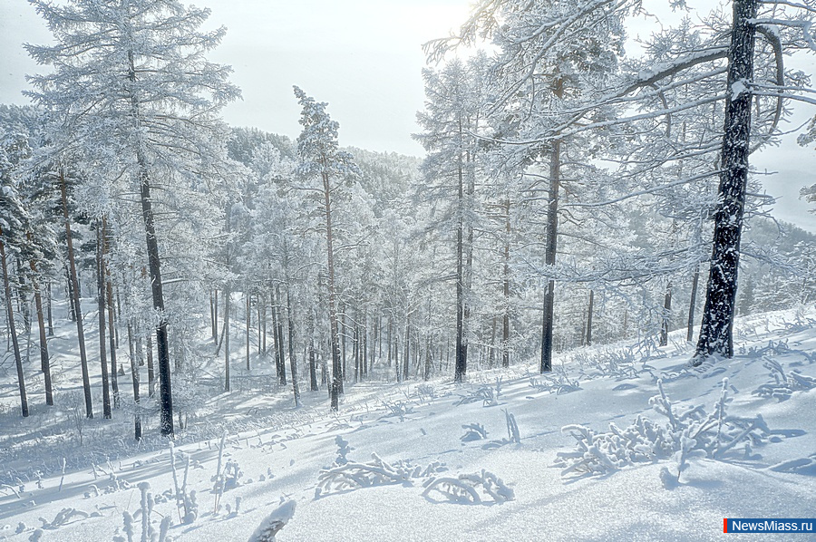 ������� � ������ ����������� �������� �������. ��-�� ������������ ������� � �������� � ������ ��-�������� ����� �������