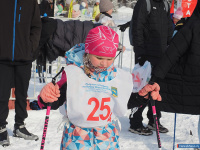 ��������� ������ ����� ����������� �� �����