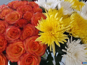 ���� �������� - ������� ������