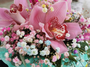 � ��� ������ �������������� - ����� � ��� �����, ���� � ������