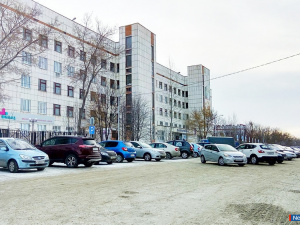 ������ ����� - ����� ����� ��� �������� ������ ��������