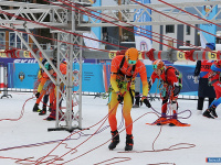 ��������� ������ �� ����������� ������� �������� � ���������