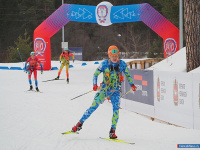 ��������� ������ �� ����������� ������� �������� � ���������