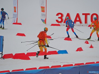 ��������� ������ �� ����������� ������� �������� � ���������