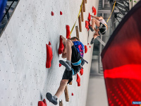 ����� ������ ��������� ������������ �� ������������