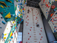 ����� ������ ��������� ������������ �� ������������