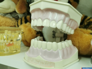 ���� �������� ������ ��� ����� �� ������ ������� ������ ������