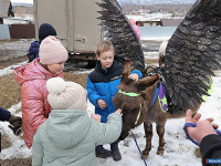 � ������ ������ ������ ��������� �����