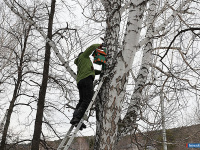 � ������ ������ ������ ��������� �����