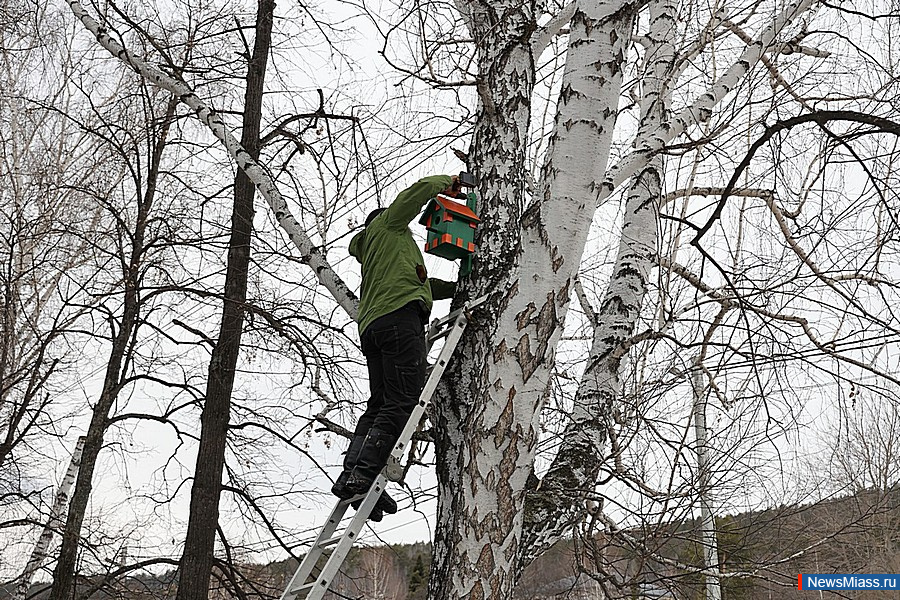 � ������ ������ ������ ��������� �����. �������� ������� �� ������ ������ � ��-��������� �����, �� � ��-���������� ��������