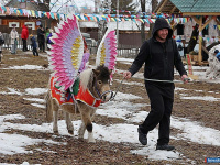 � ������ ������ ������ ��������� �����