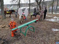 � ������ ������ ������ ��������� �����