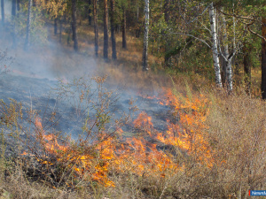 � ������ ����� ���������� ����������� �������