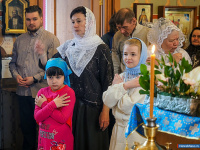 ���� ������������ � ������ ������� ����������� ��������