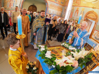 ���� ������������ � ������ ������� ����������� ��������