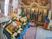 ���� ������������ � ������ ������� ����������� ��������