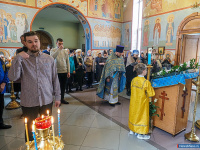 ���� ������������ � ������ ������� ����������� ��������