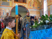 ���� ������������ � ������ ������� ����������� ��������