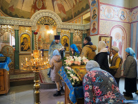 ���� ������������ � ������ ������� ����������� ��������