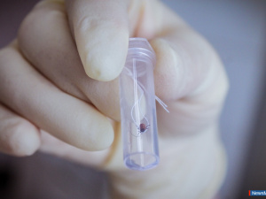 ����� � ������ ����������������