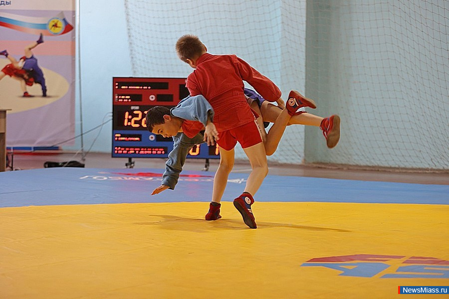 � ������ ������ ������������� ��������� ������ �� �����. �� ������ �������� 170 ����������� �� �����������, ������������, ����������, ������� ��������, ��������� ���� � ���������� ������������