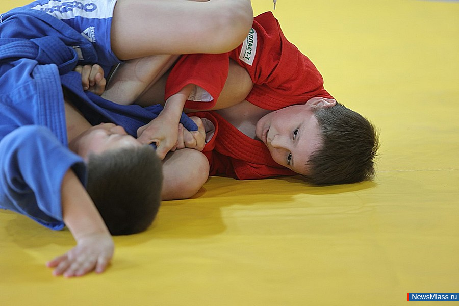 � ������ ������ ������������� ��������� ������ �� �����. �� ������ �������� 170 ����������� �� �����������, ������������, ����������, ������� ��������, ��������� ���� � ���������� ������������