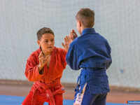 � ������ ������ ������������� ��������� ������ �� �����