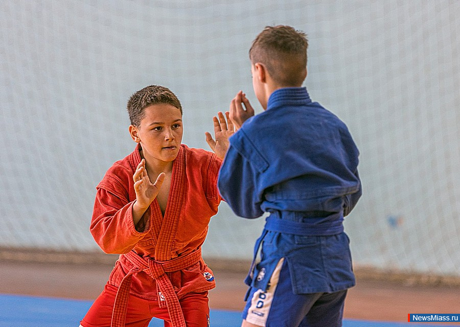 � ������ ������ ������������� ��������� ������ �� �����. �� ������ �������� 170 ����������� �� �����������, ������������, ����������, ������� ��������, ��������� ���� � ���������� ������������