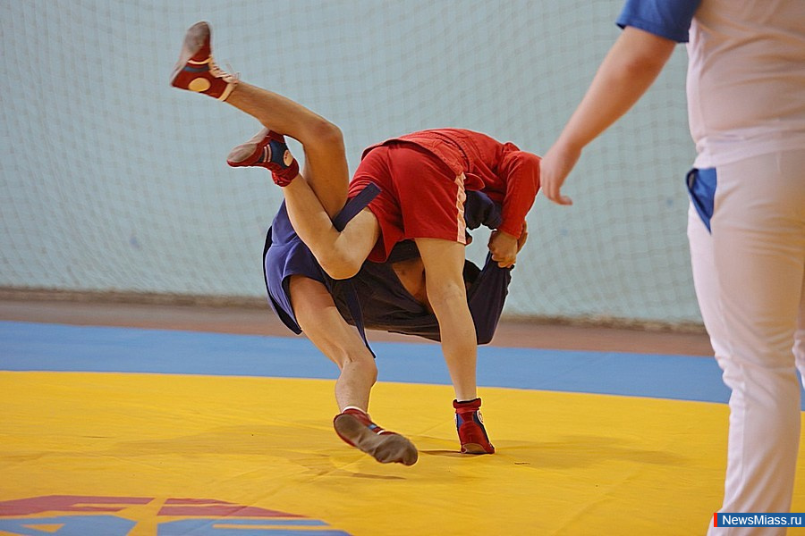 � ������ ������ ������������� ��������� ������ �� �����. �� ������ �������� 170 ����������� �� �����������, ������������, ����������, ������� ��������, ��������� ���� � ���������� ������������