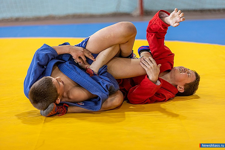 � ������ ������ ������������� ��������� ������ �� �����. �� ������ �������� 170 ����������� �� �����������, ������������, ����������, ������� ��������, ��������� ���� � ���������� ������������