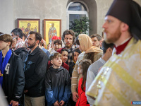 � ������ ������ ���������� ������ � �������� ���