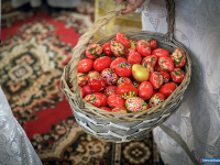 � ������ ������ ���������� ������ � �������� ���