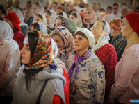 � ������ ������ ���������� ������ � �������� ���