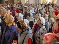 � ������ ������ ���������� ������ � �������� ���