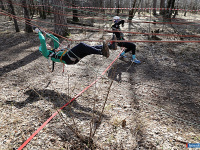 ����� ������ ���������� ������������ �� ����������� �������