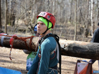 ����� ������ ���������� ������������ �� ����������� �������