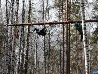 ����� ������ ���������� ������������ �� ����������� �������