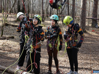 ����� ������ ���������� ������������ �� ����������� �������