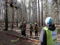 ����� ������ ���������� ������������ �� ����������� �������