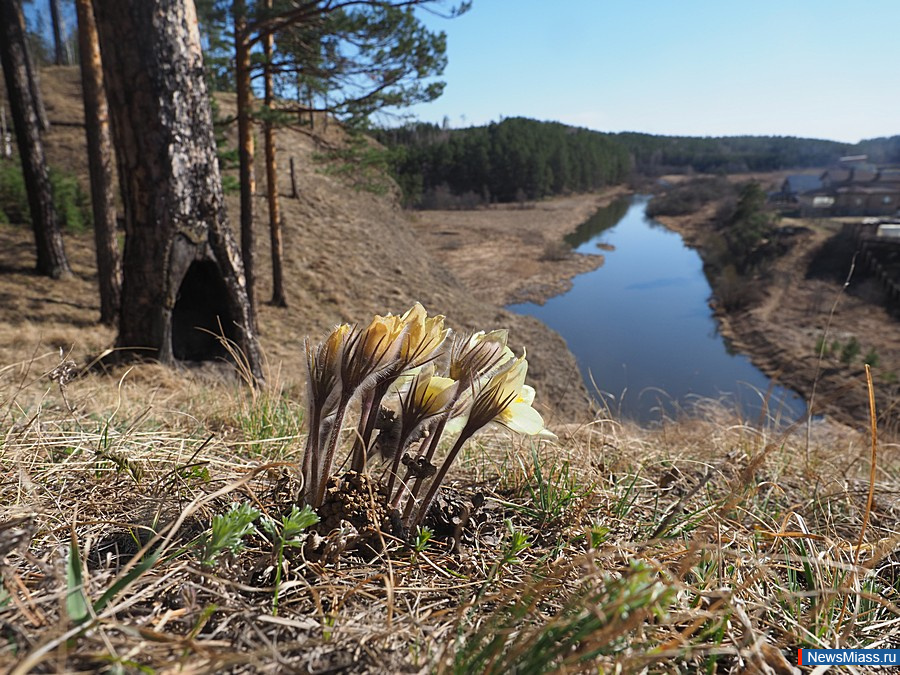 ����� � ����������� ��������� � ������. �� ���� ������ � ������ ������������ ��������� �����������