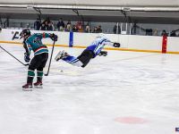 ����� ������ ��������� ����������� �� ������